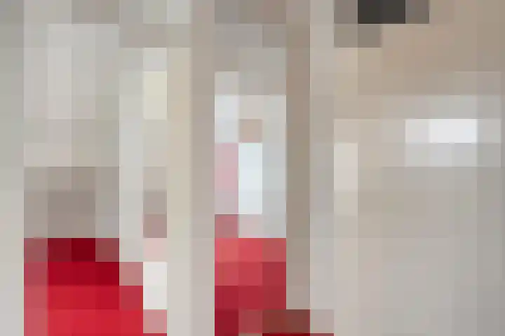 De Vossestaart 12 Dedemsvaart thumbnail 31