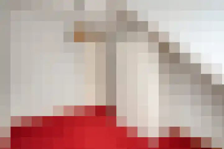 De Vossestaart 12 Dedemsvaart thumbnail 33