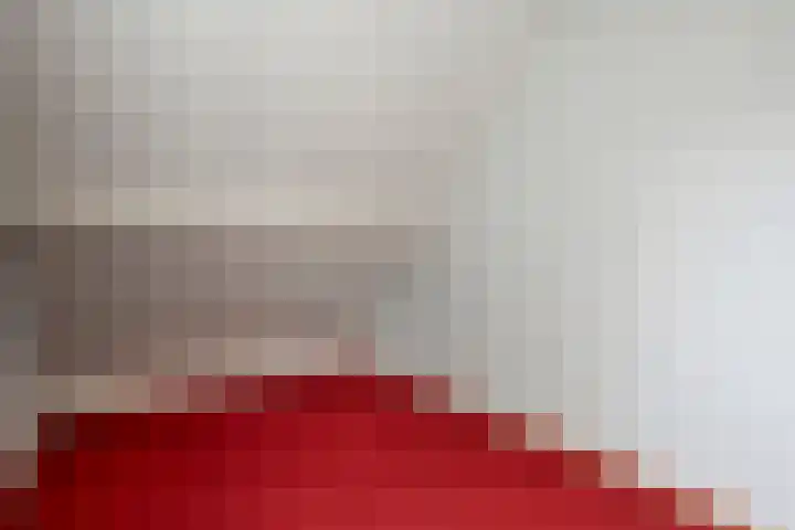 De Vossestaart 12 Dedemsvaart thumbnail 34