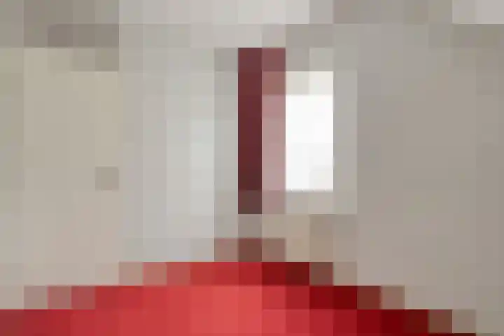 De Vossestaart 12 Dedemsvaart thumbnail 35