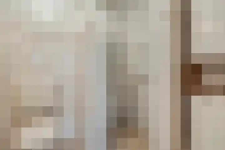 De Vossestaart 12 Dedemsvaart thumbnail 36