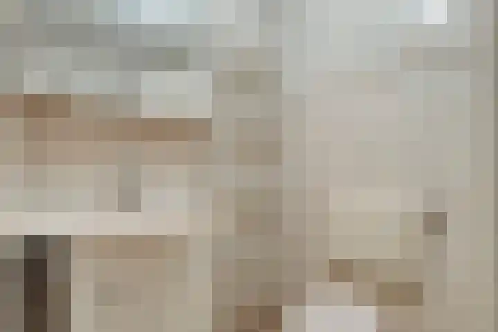 De Vossestaart 12 Dedemsvaart thumbnail 38