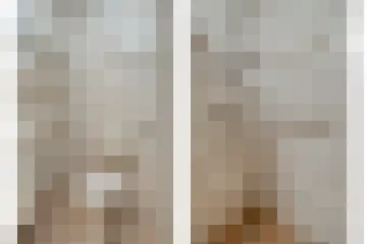 De Vossestaart 12 Dedemsvaart thumbnail 39