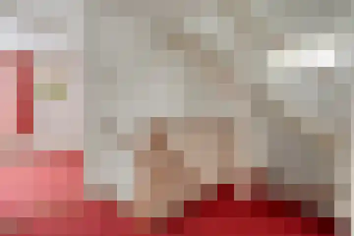 De Vossestaart 12 Dedemsvaart thumbnail 40