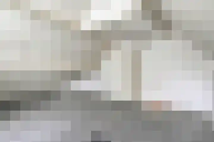 De Vossestaart 12 Dedemsvaart thumbnail 41