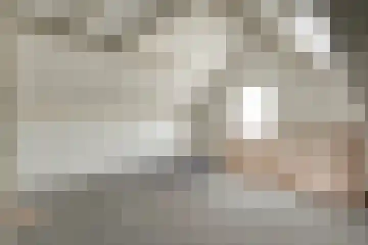 De Vossestaart 12 Dedemsvaart thumbnail 42