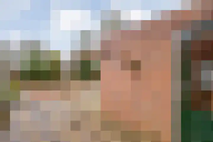De Vossestaart 12 Dedemsvaart thumbnail 43
