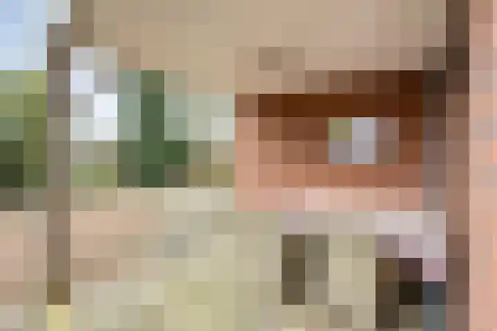 De Vossestaart 12 Dedemsvaart thumbnail 45
