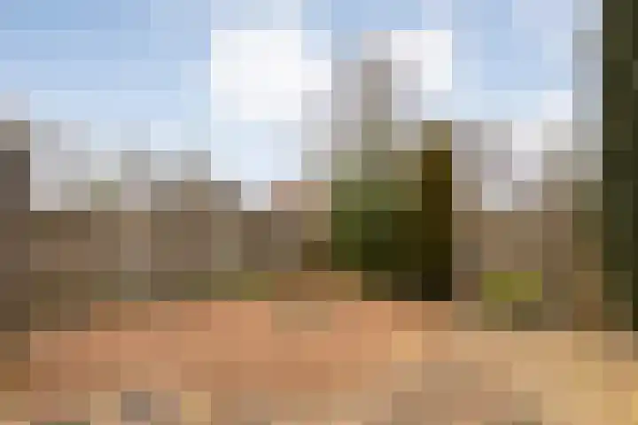 De Vossestaart 12 Dedemsvaart thumbnail 47