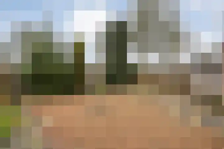 De Vossestaart 12 Dedemsvaart thumbnail 48