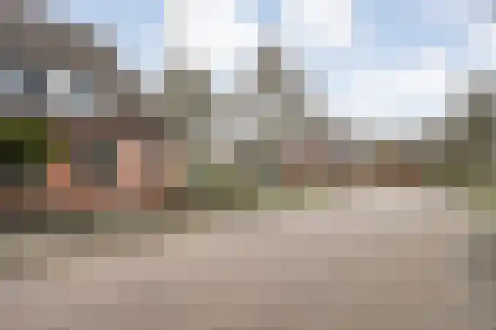 De Vossestaart 12 Dedemsvaart thumbnail 49