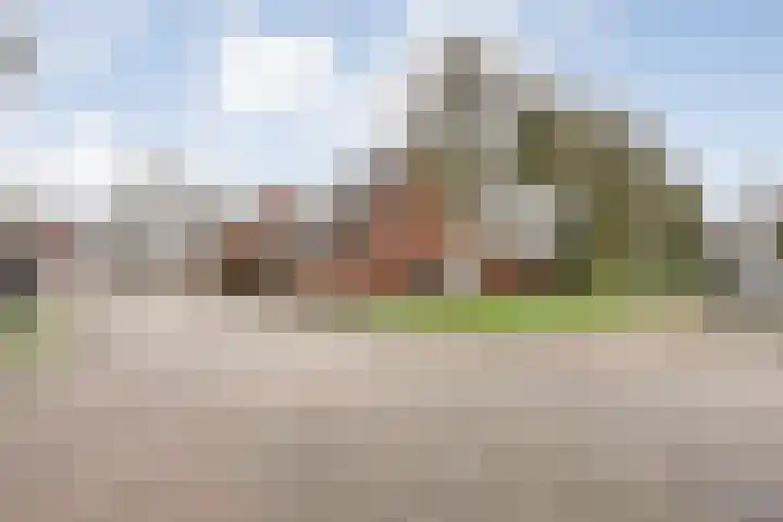 De Vossestaart 12 Dedemsvaart thumbnail 5