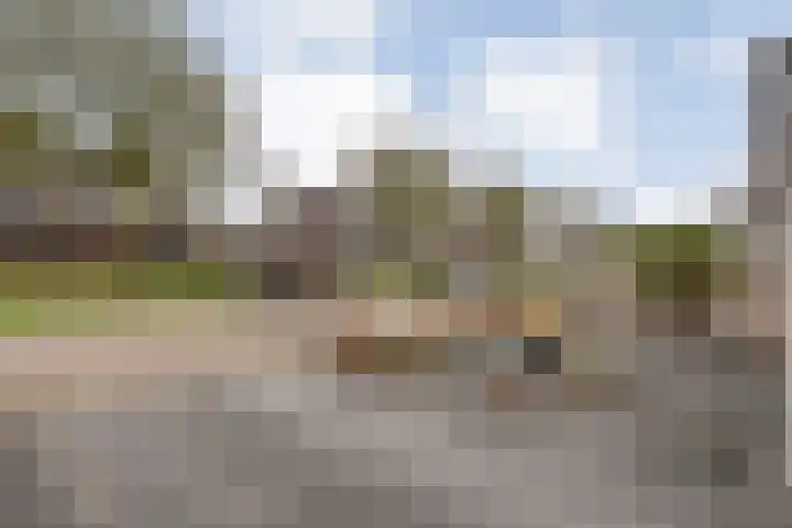 De Vossestaart 12 Dedemsvaart thumbnail 50