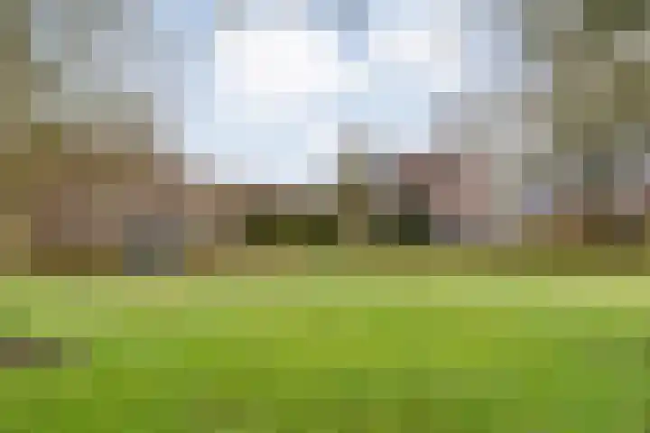 De Vossestaart 12 Dedemsvaart thumbnail 51