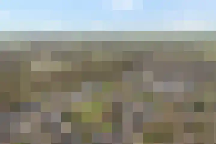 De Vossestaart 12 Dedemsvaart thumbnail 52