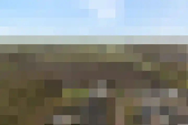 De Vossestaart 12 Dedemsvaart thumbnail 53