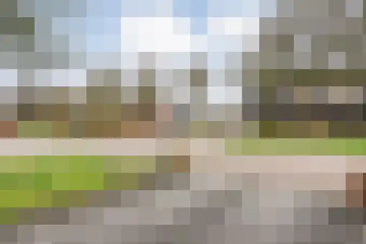 De Vossestaart 12 Dedemsvaart thumbnail 6