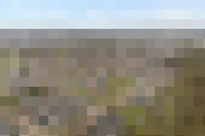 De Vossestaart 12 Dedemsvaart thumbnail 7