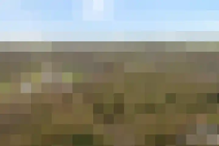 De Vossestaart 12 Dedemsvaart thumbnail 8