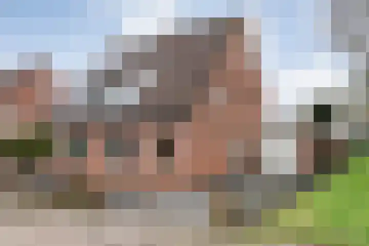 De Vossestaart 12 Dedemsvaart thumbnail 9