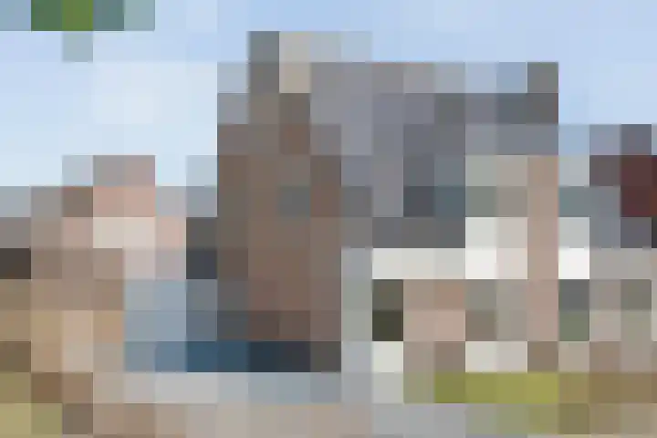 De Vossestaart 2 Dedemsvaart