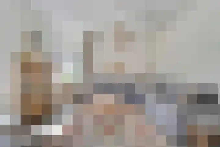 De Vossestaart 2 Dedemsvaart thumbnail 11