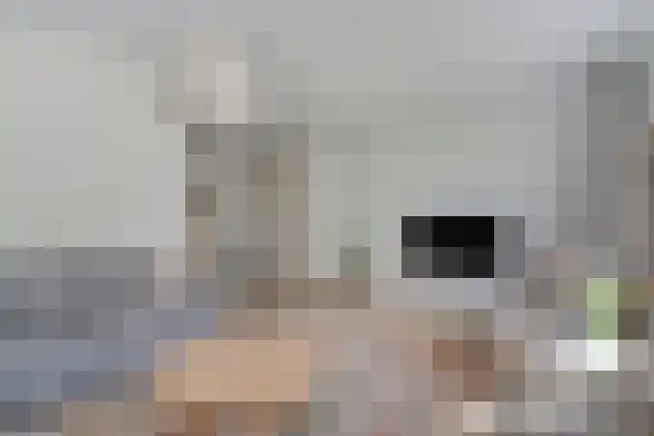 De Vossestaart 2 Dedemsvaart thumbnail 12