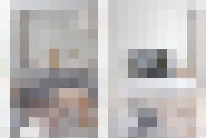 De Vossestaart 2 Dedemsvaart thumbnail 14