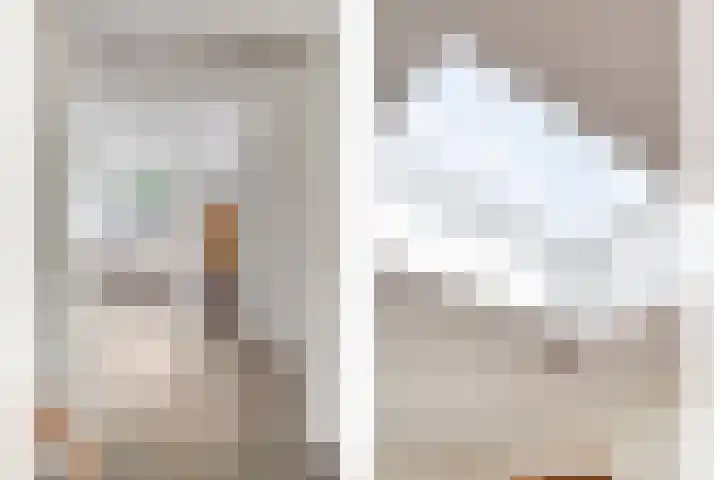De Vossestaart 2 Dedemsvaart thumbnail 15