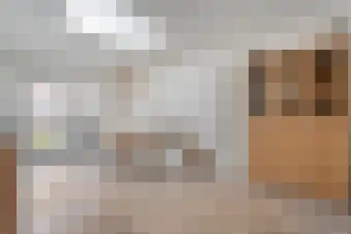 De Vossestaart 2 Dedemsvaart thumbnail 19