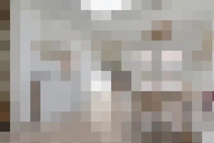 De Vossestaart 2 Dedemsvaart thumbnail 20