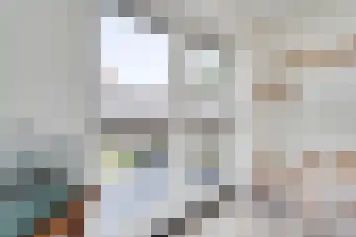 De Vossestaart 2 Dedemsvaart thumbnail 21
