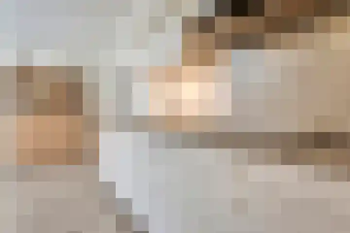 De Vossestaart 2 Dedemsvaart thumbnail 25