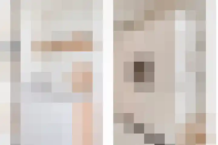De Vossestaart 2 Dedemsvaart thumbnail 27