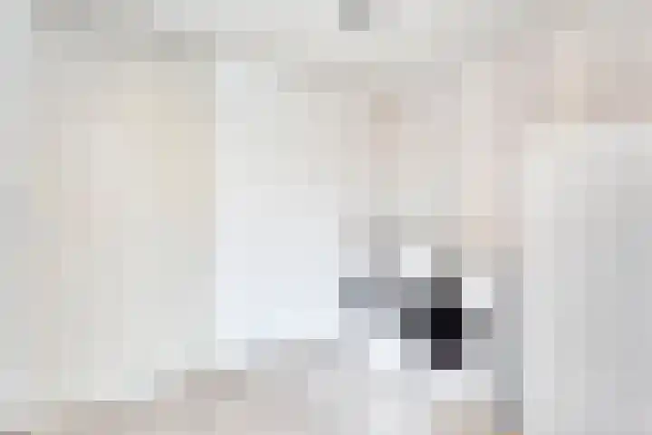 De Vossestaart 2 Dedemsvaart thumbnail 29