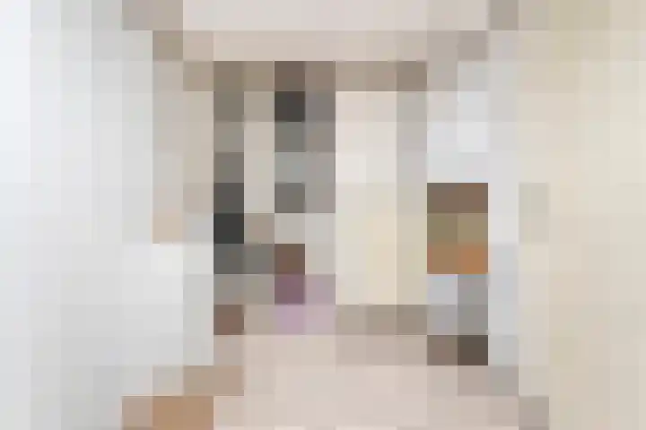 De Vossestaart 2 Dedemsvaart thumbnail 30