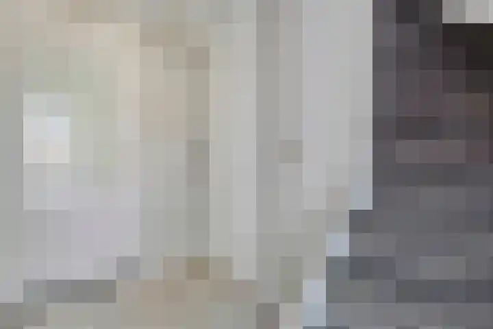 De Vossestaart 2 Dedemsvaart thumbnail 32