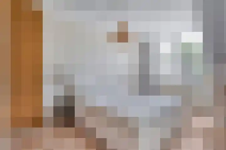 De Vossestaart 2 Dedemsvaart thumbnail 33