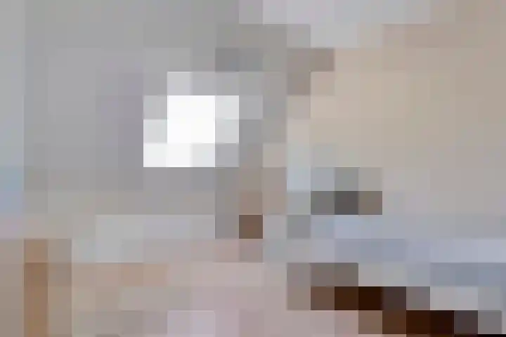 De Vossestaart 2 Dedemsvaart thumbnail 37