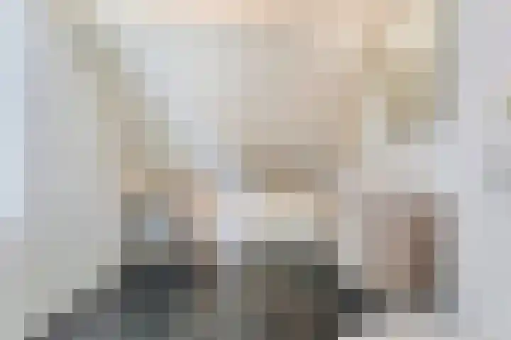 De Vossestaart 2 Dedemsvaart thumbnail 39