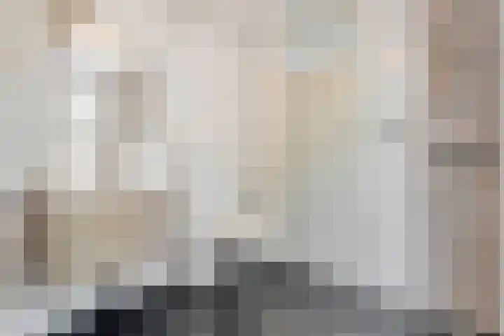 De Vossestaart 2 Dedemsvaart thumbnail 40