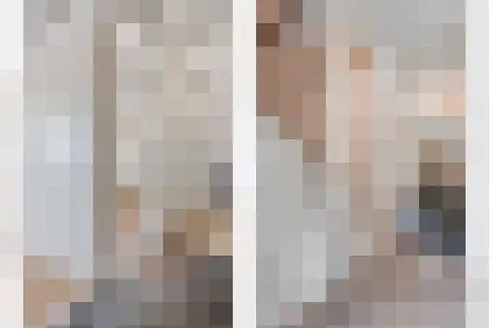 De Vossestaart 2 Dedemsvaart thumbnail 41