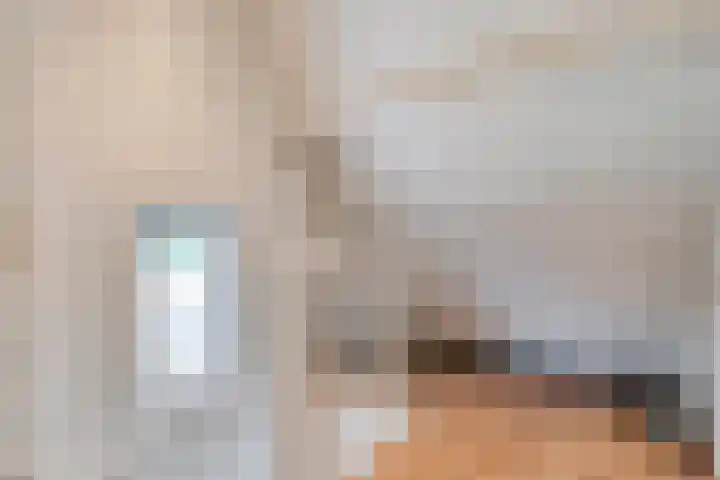De Vossestaart 2 Dedemsvaart thumbnail 42