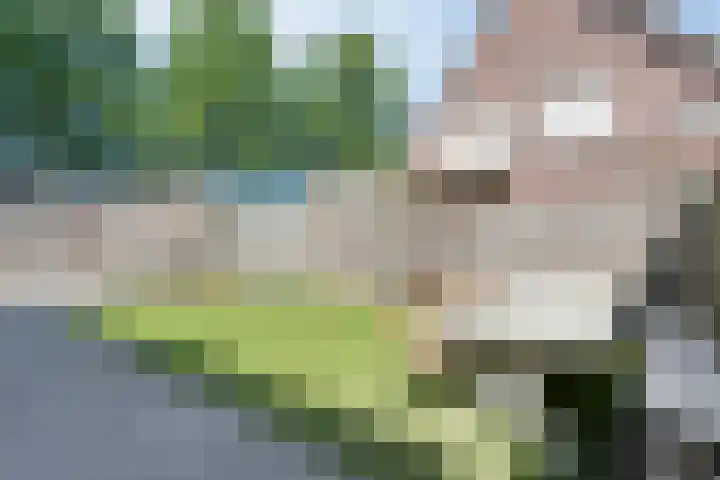 De Vossestaart 2 Dedemsvaart thumbnail 47