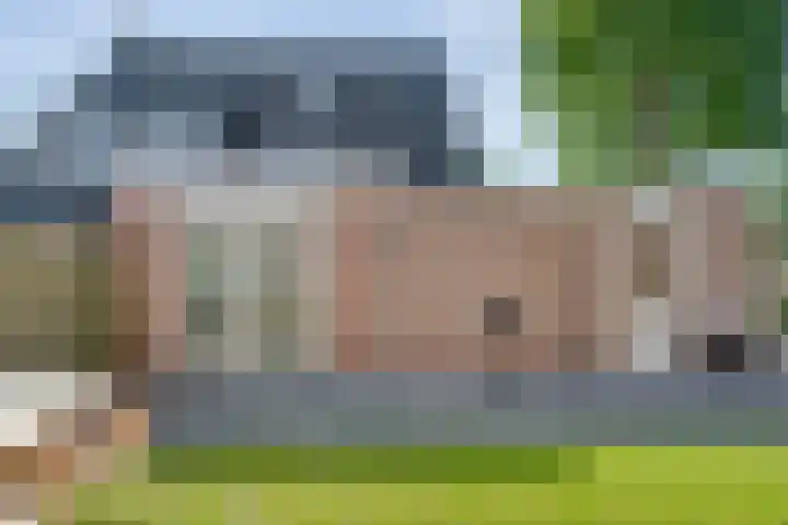 De Vossestaart 2 Dedemsvaart thumbnail 48