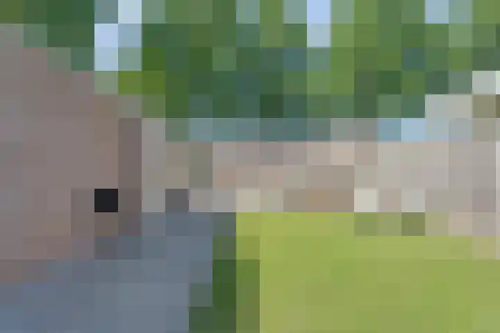 De Vossestaart 2 Dedemsvaart thumbnail 49