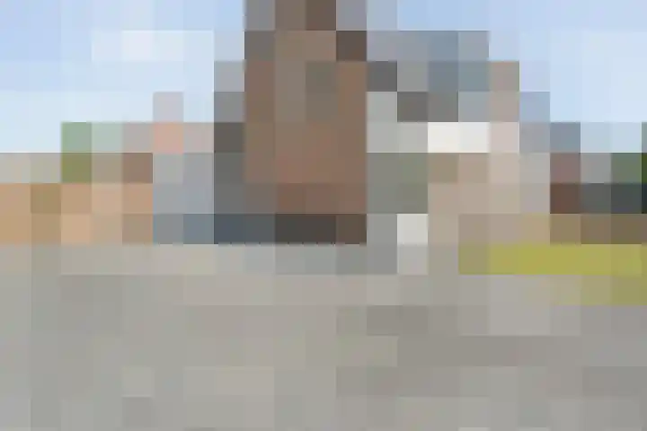 De Vossestaart 2 Dedemsvaart thumbnail 5