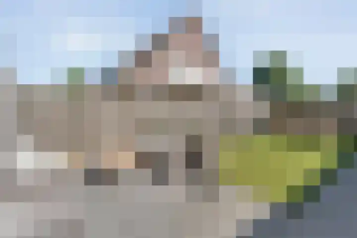 De Vossestaart 2 Dedemsvaart thumbnail 50