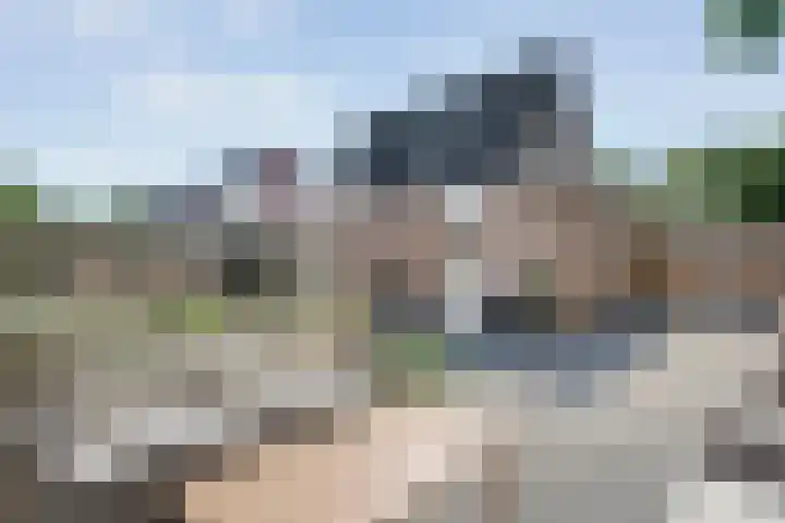 De Vossestaart 2 Dedemsvaart thumbnail 51