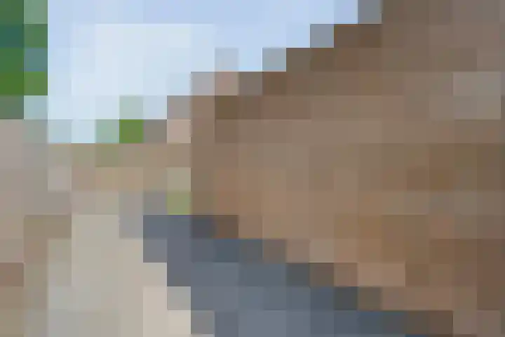 De Vossestaart 2 Dedemsvaart thumbnail 52